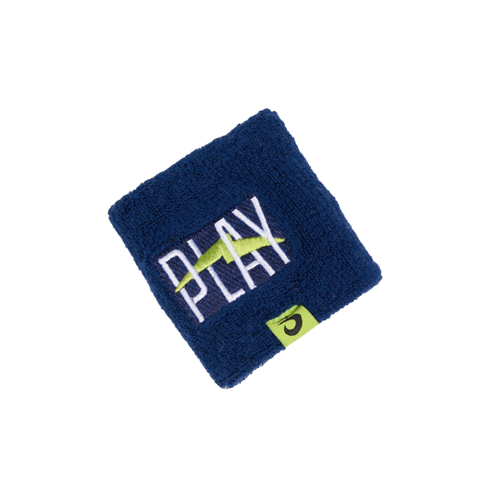 Slide image