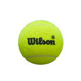 Wilson Premier Padel Speed Ball Tin (Sea Level)